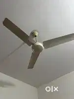 Two ceiling  Fans and Two small  tables for dining for children