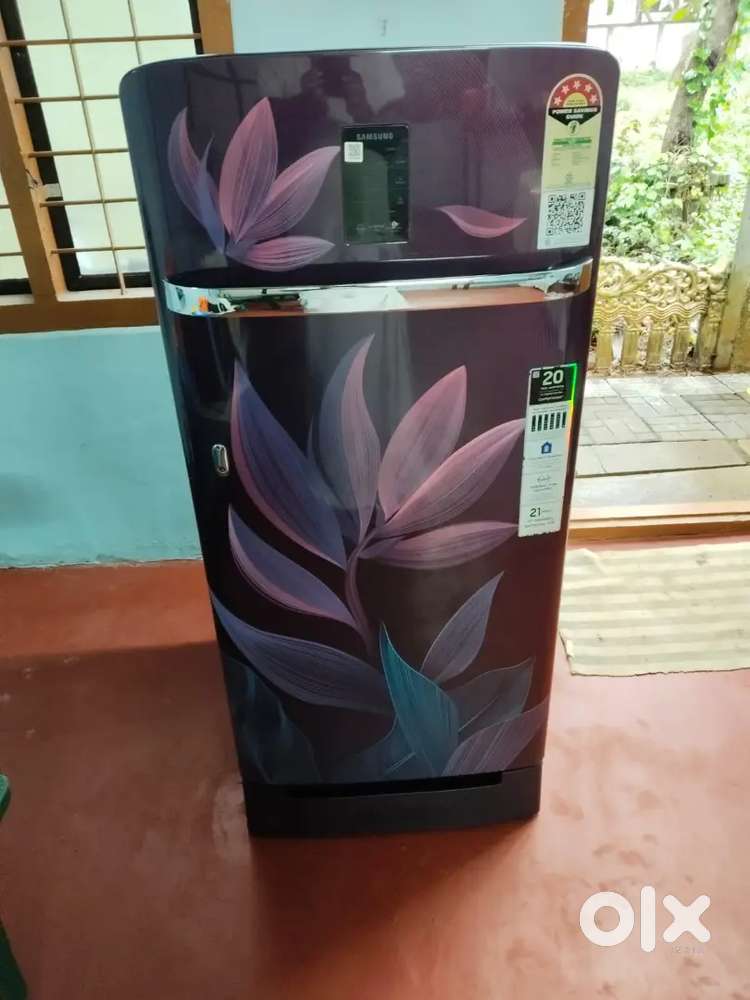 Samsung 189L Refrigerator (2023 Model) –Energy efficient