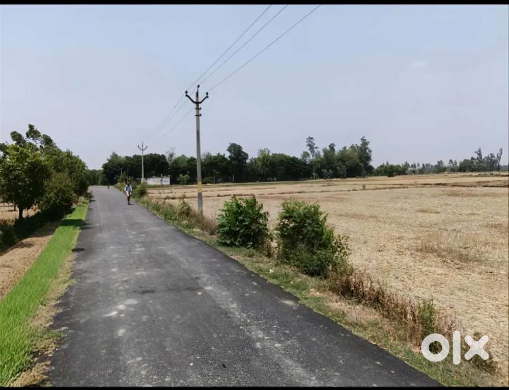 Agriculture/ Commercial - 3 Bigha Land for sale