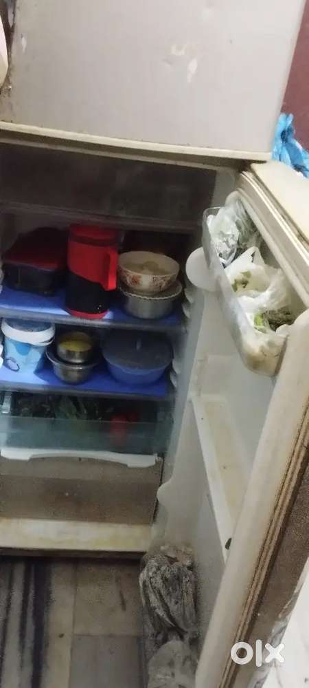LG Refrigerator