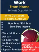 Network Marketing