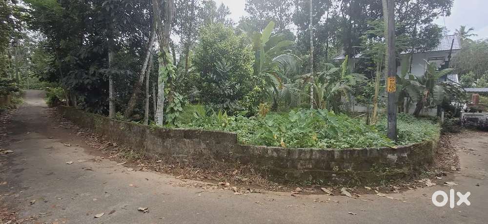 15 CENT HOUSE PLOT NEAR KOTHAMANGALAM KARUKADOM