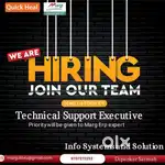 Technical Support Executive