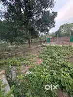 Near NH 33 1 KM IN