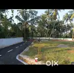 3.50 ലക്ഷത്തിന് അങ്കമാലിയിൽ ഒരു പ്ലോട്ട് സ്വന്തമാക്കാം