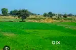 बूंदी  मेन रोड 1.25 बिघा जनरल