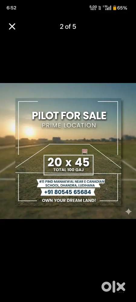 100 gaj plot