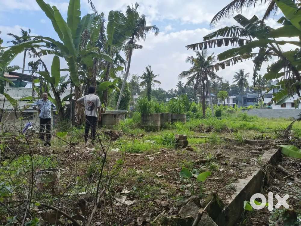 7.5 cent Residential land for sale at peroorkada