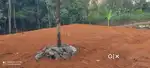 Land 10 cents for sale in Kuttilanji, Kerala