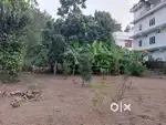 ,Angamaly first street 1st plot for rent