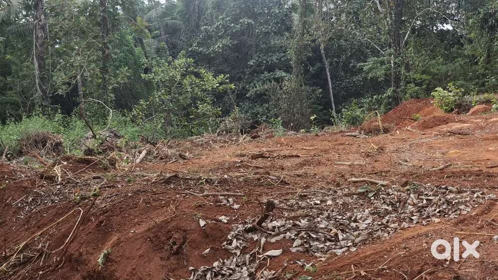Land for sale near kuthuparamba,Mooriyad