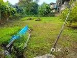 Myadhi Patta land/