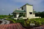 Urgently sale my farmhouse and farmland