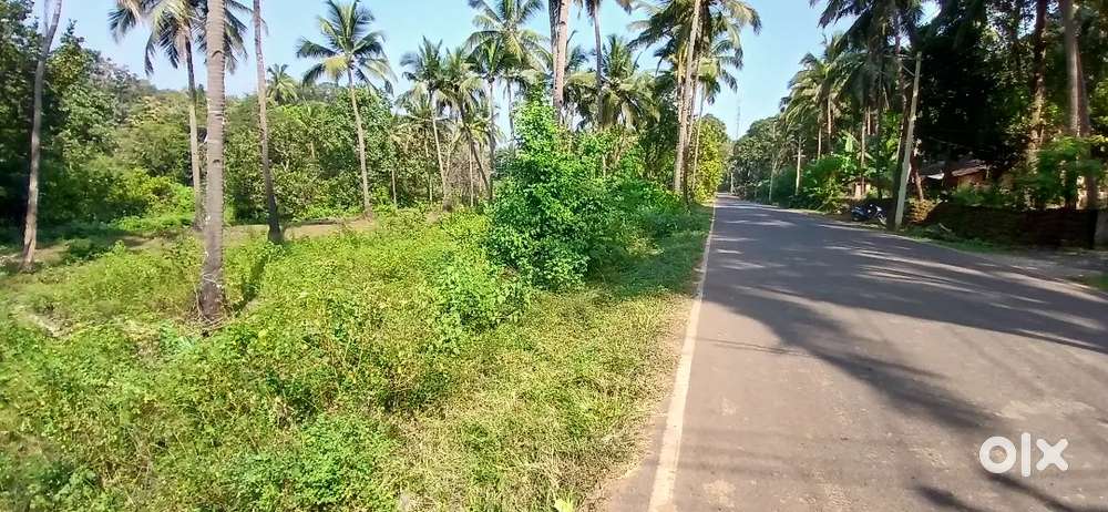 Commercial road touch plots for sale at balli fatorpa