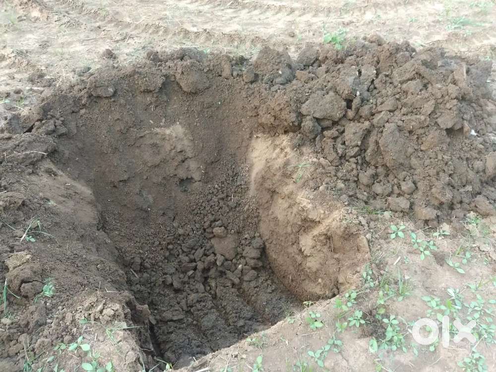 1 Acre 7 Gunta Agriculture land for Sale