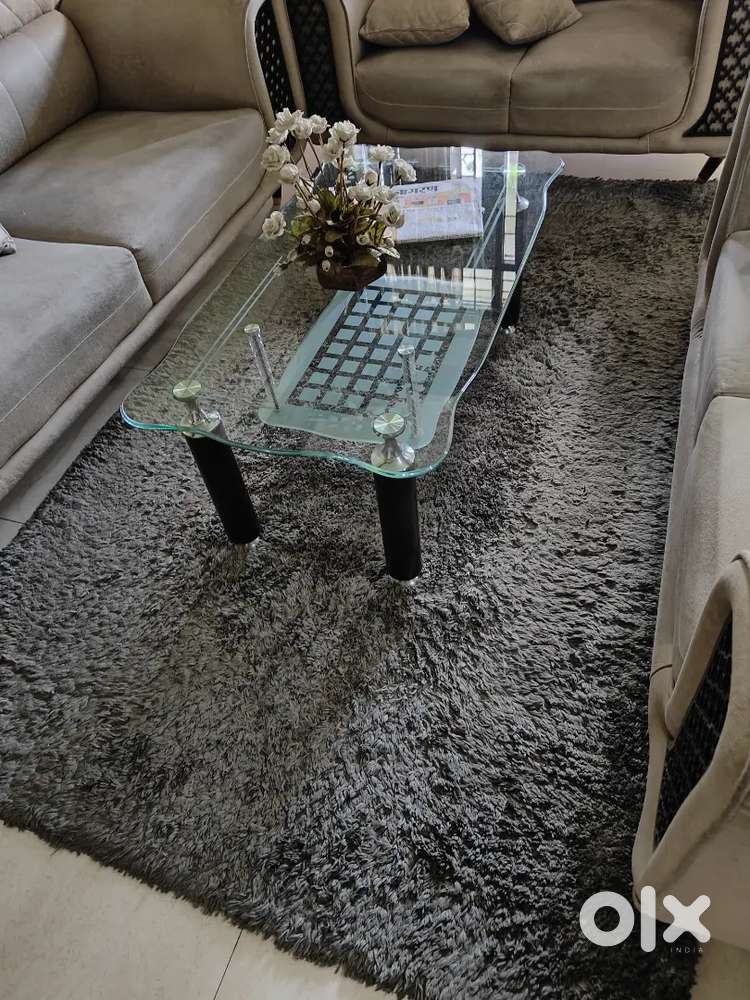 Carpet 100'60 inches