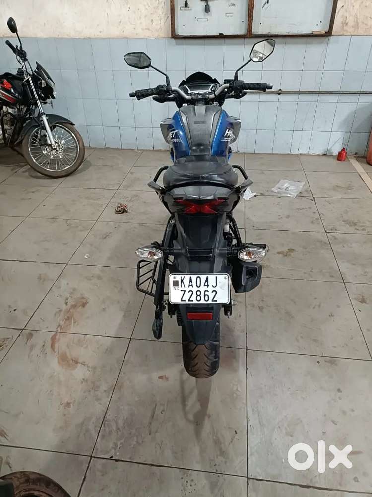 Honda hornet