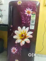 Fridges_LG_Model:- GL-D201ASHU/2024
