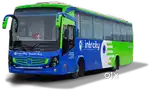 Bus captain