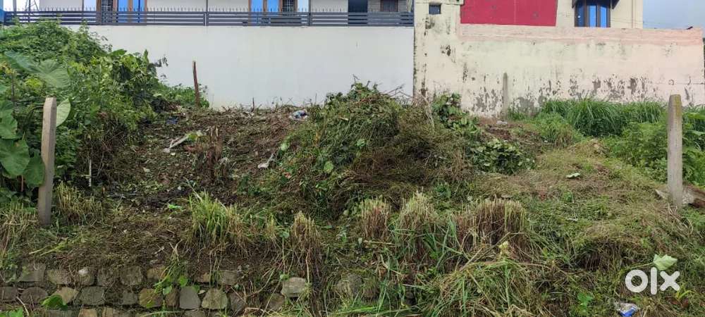 78 Square yards Commercial plot at Divya Vihar Miyawala