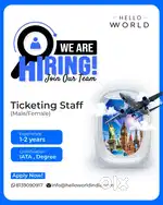 TRAVEL CONSULTANT