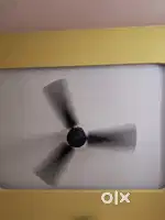 Ceiling Fan