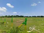 Premium Residential Plots at Nature’s Green Layout with Fast Growth