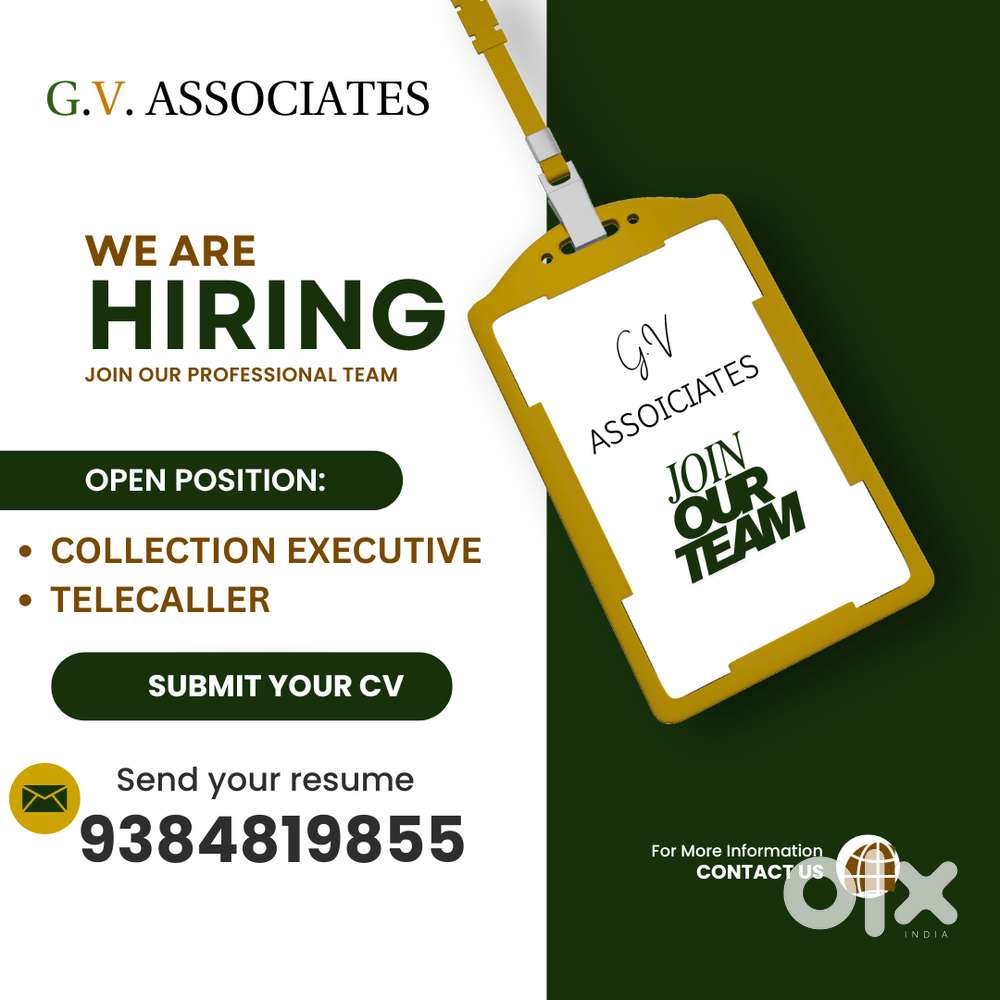 COLLECTION EXECUTIVE
