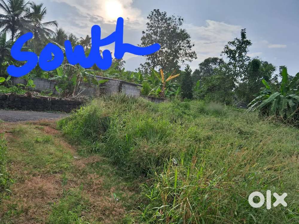 Plotwise 5cent 10 cent 20 can be sale