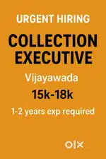 Need collection executive