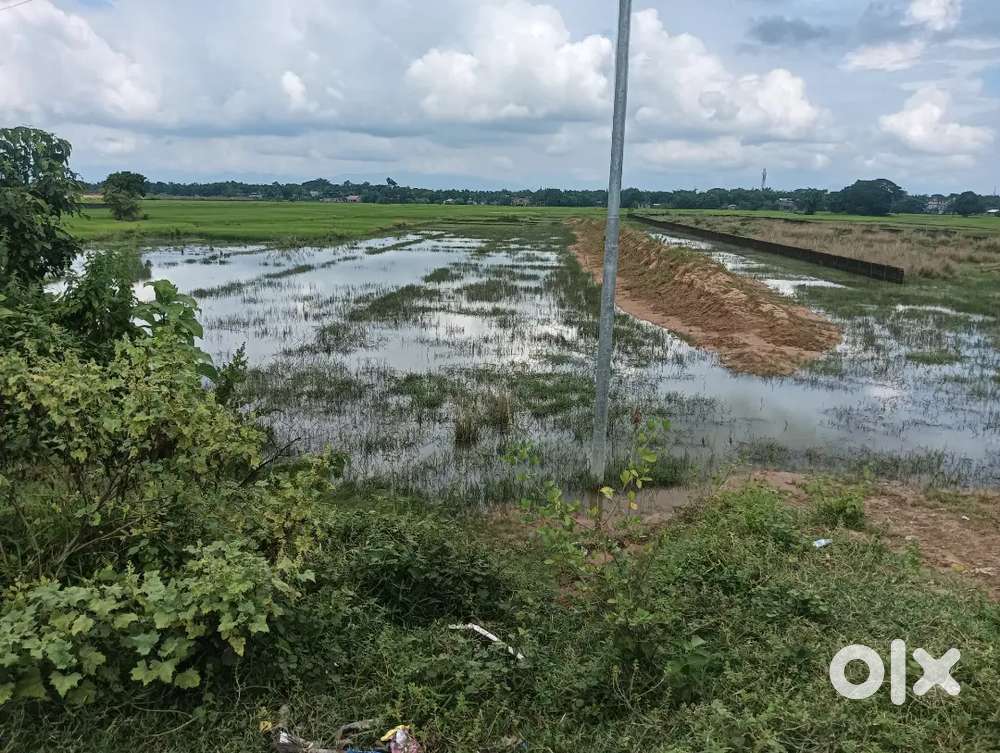 ISBT bypass 11 khatha plot for sale at bypass
