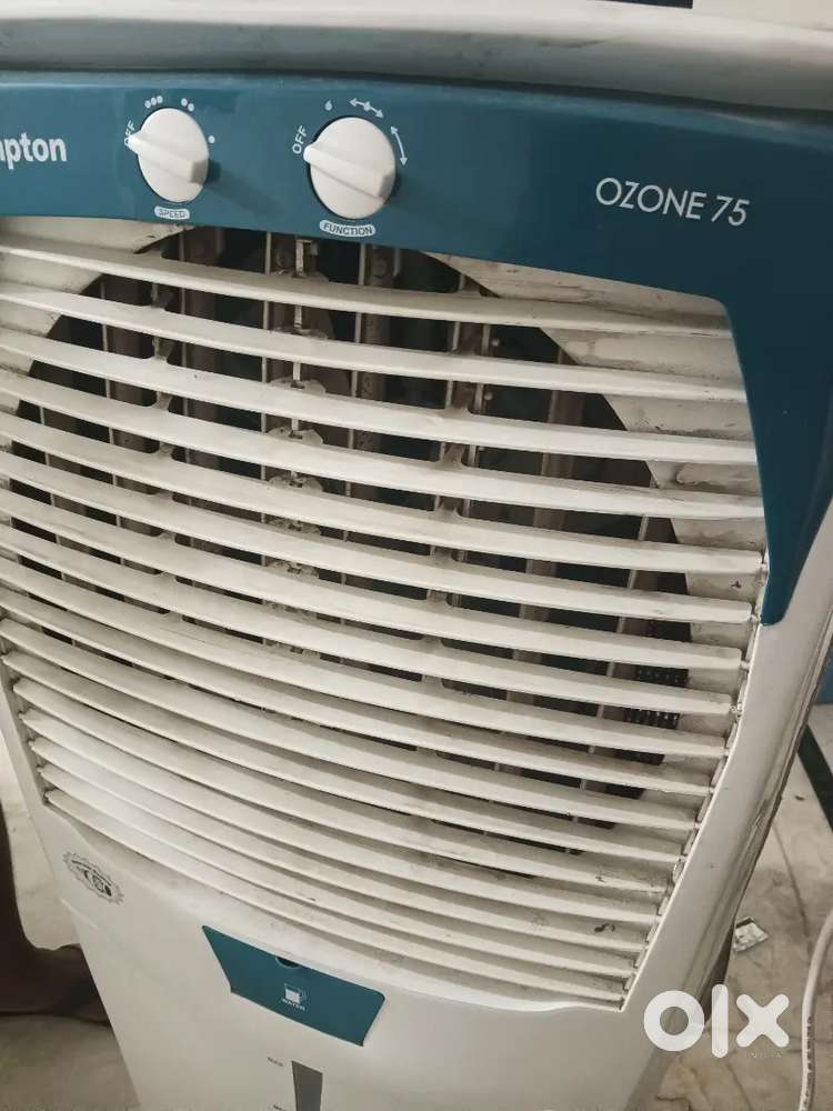 Dessert Cooler 75L