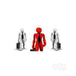 Finance Collection Executive
