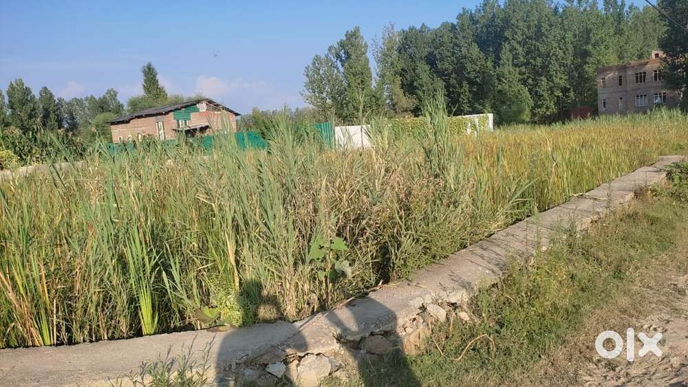 8 marla plot for urgent sale (Owner Post)