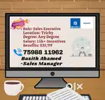 Sales Executive