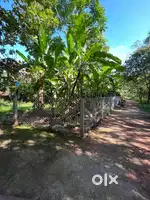 Plot for sale 7.45 Cent Near to Athanikkal{ Vallikkunu panchayat}