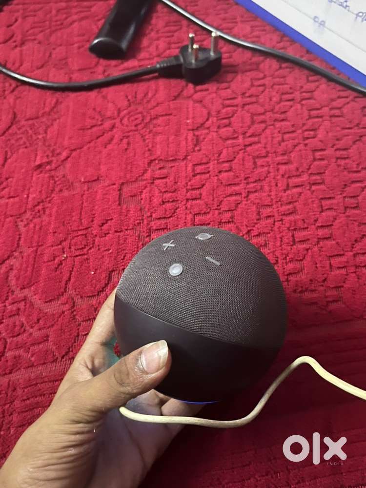 Alexa 5th generation