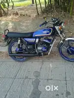 New Canditon Hai