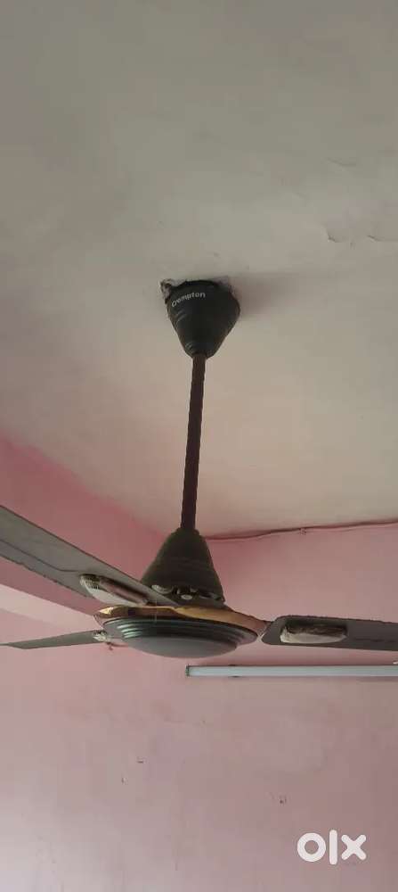 Ceiling fan