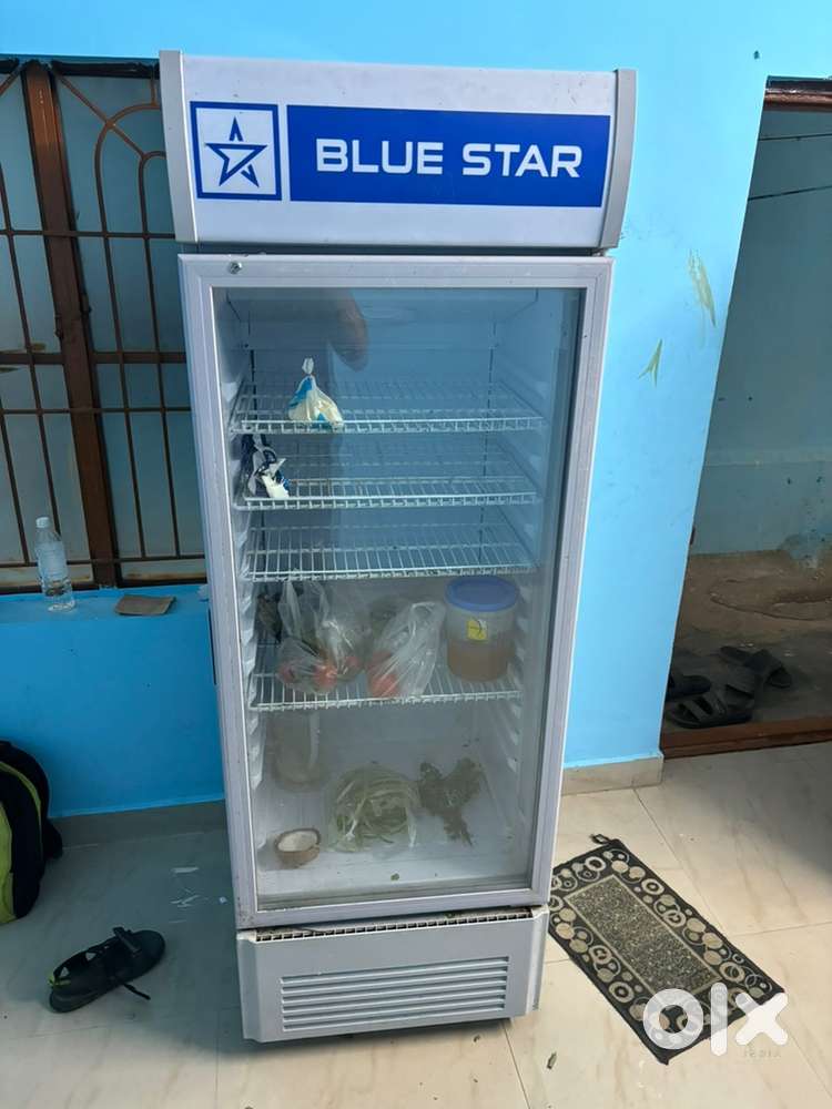 Blue star fridge