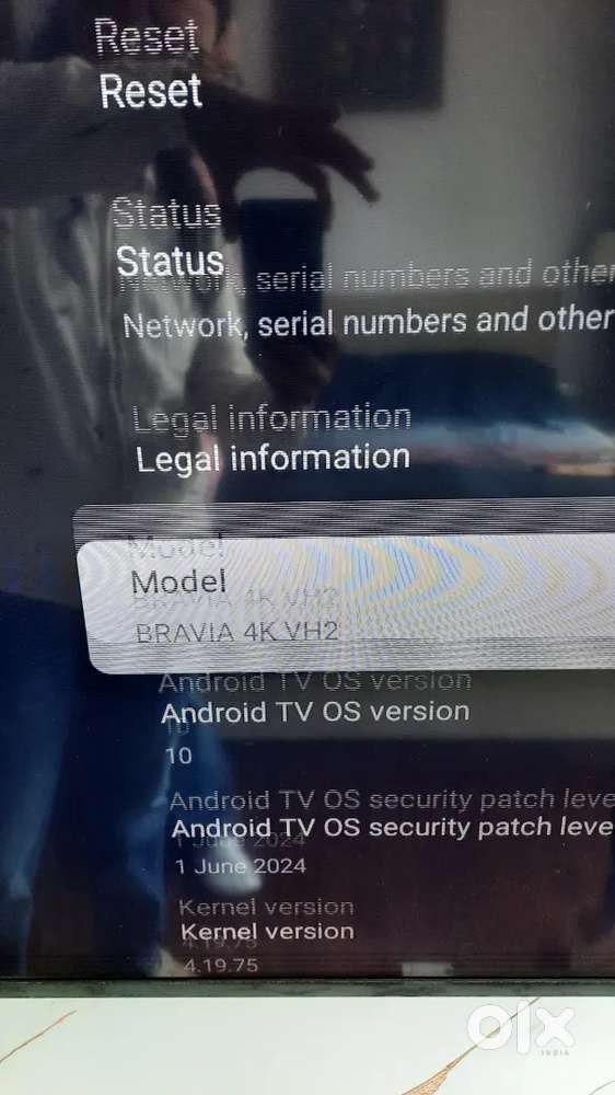 Sony bravia 55 inch TV