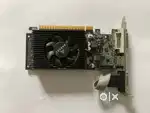 NVIDIA GT 610 Graphics Card  Budget GPU for PC