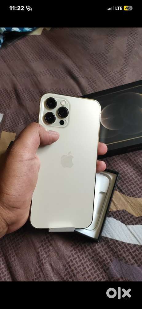 12 pro max
