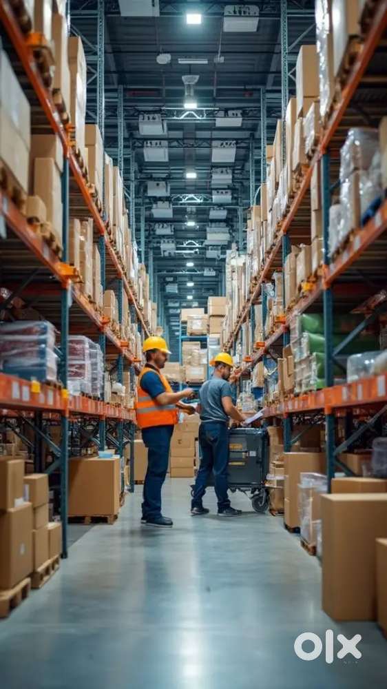 LOOKING FOR FRESHERS AND EXPERIENCED WAREHOUSE EXECUTIVES