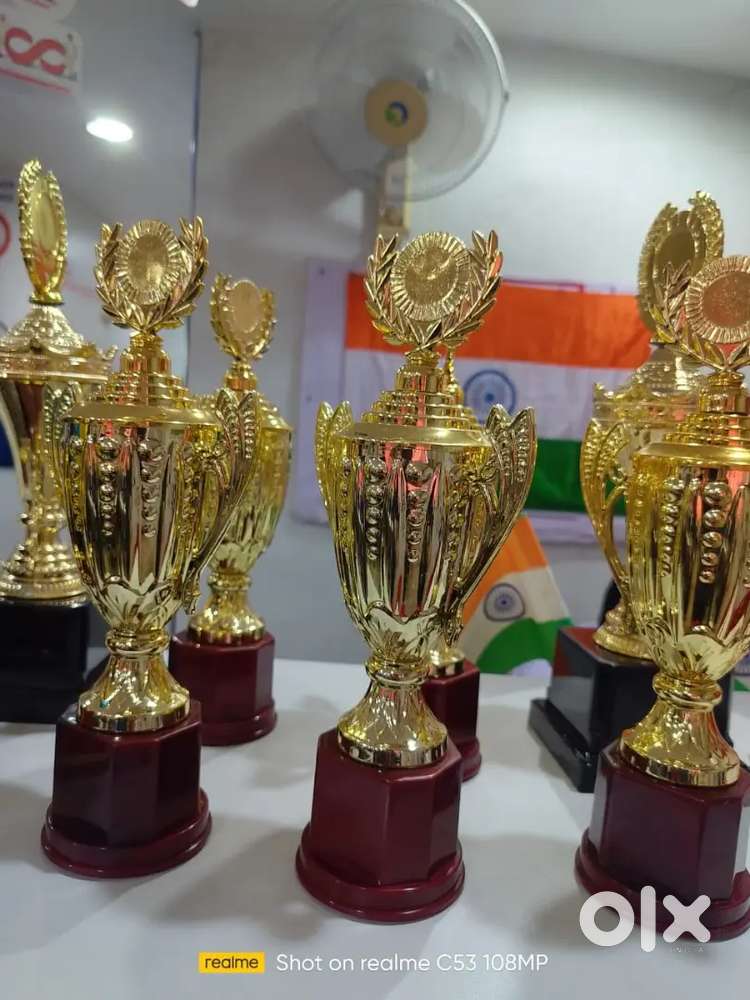 Trophy house