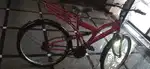 Cycle red colour good condition re colour price 2500