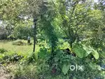 Plot for sale