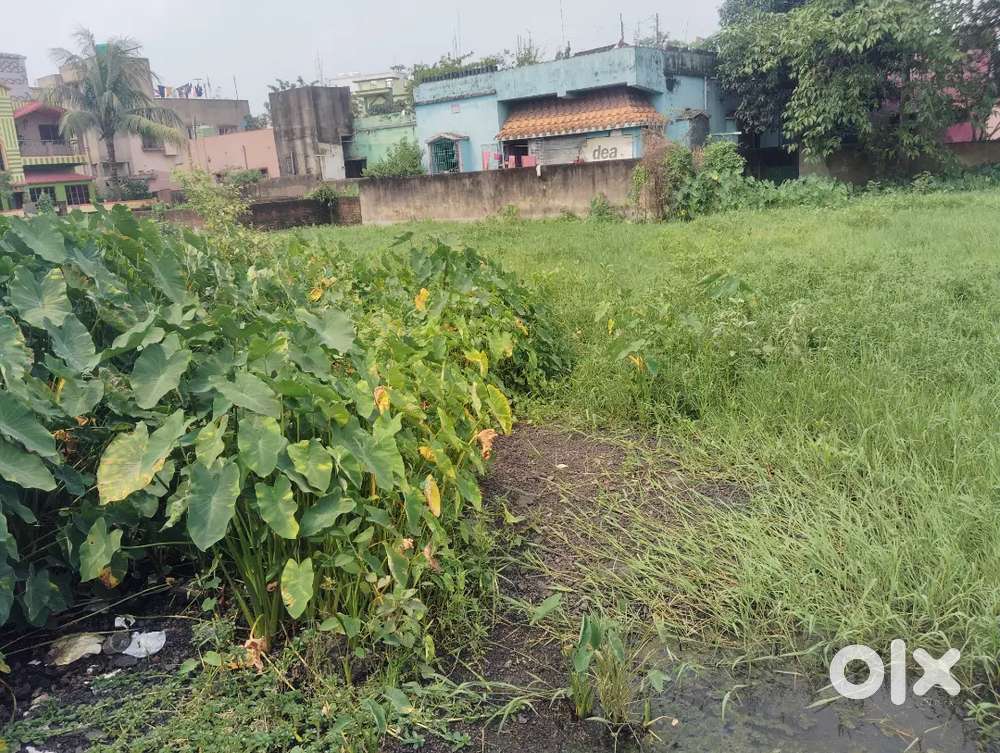 I want to sell my land in link park near wine shop clean land single