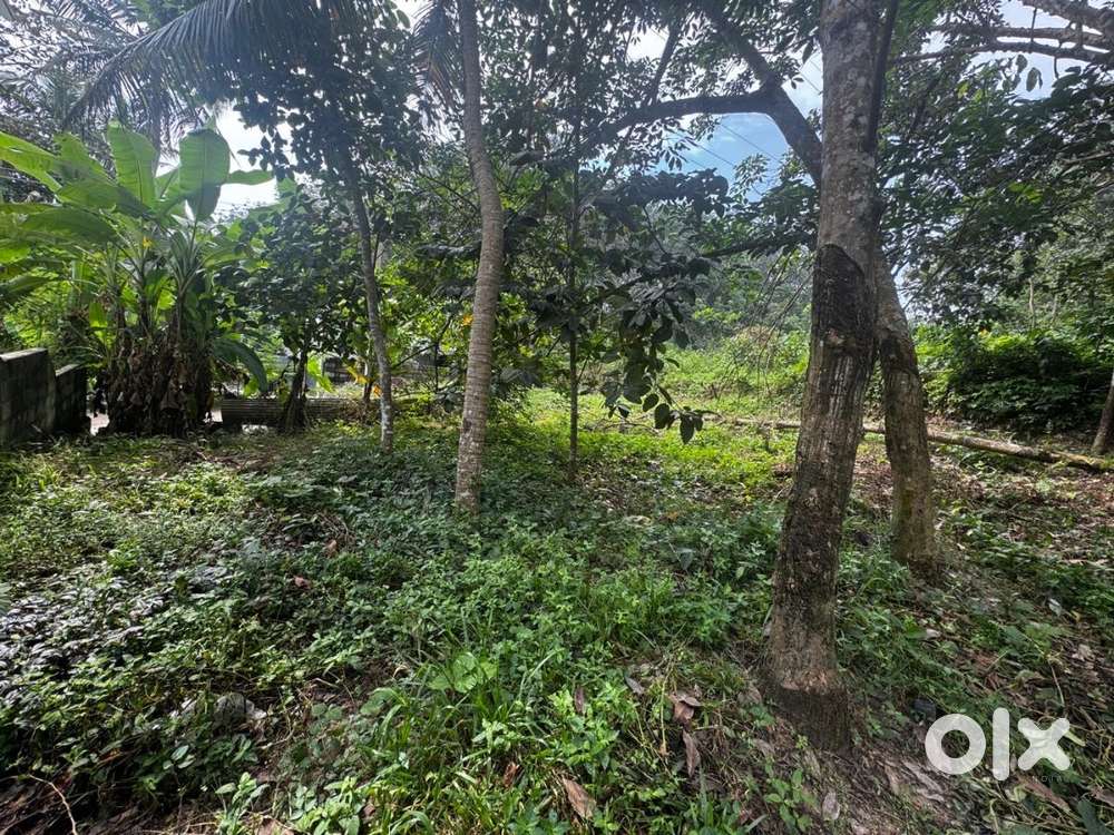 15 cent Trivandrum plot for sale