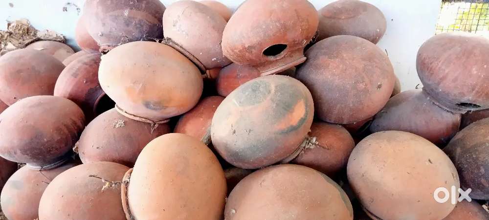 Food Container , Breeding Pots for ALBs